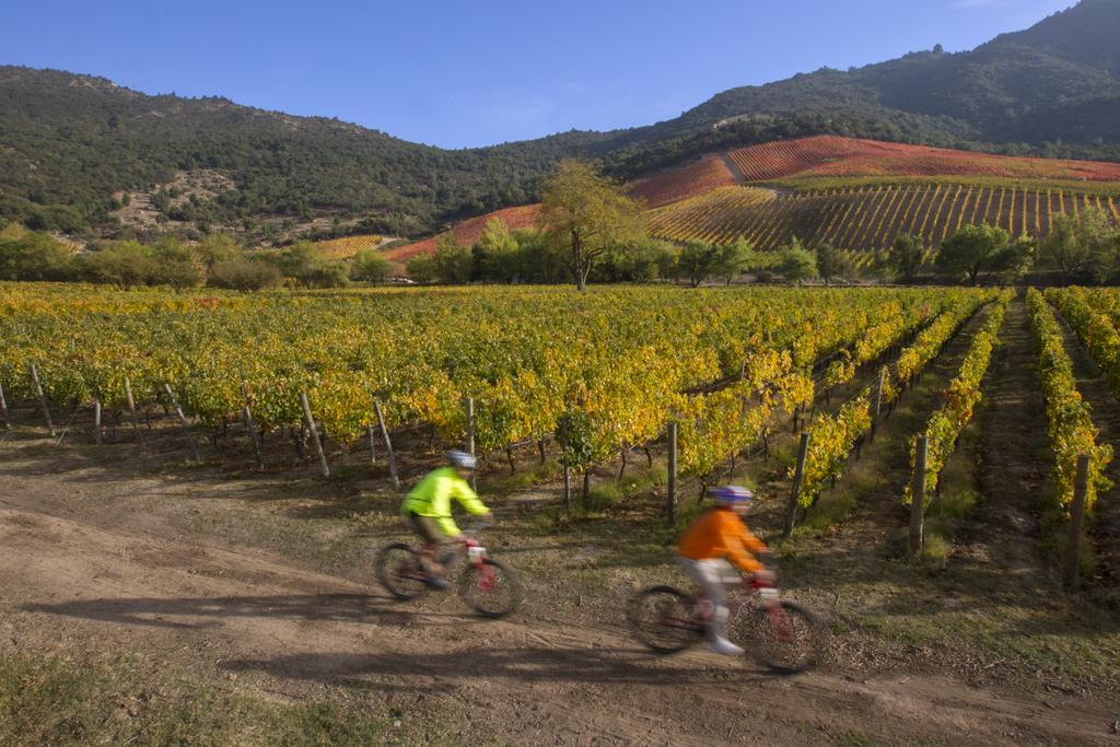 Clos Apalta Residence Relais & Chateaux Santa Cruz Exterior photo